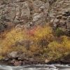 #B94 - Fall Colors & Canyon Wall, Big Thompson Canyon 1994