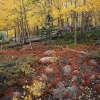 #H91 - Fall Colors, Weston Pass, Colorado 1991