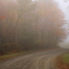 #P0447 - Morning Fog, White Mountains, New Hampshire 2007