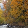 #3313 - Fall Colors, Narrows County Park, Big Thompson Canyon, Colorado 2012